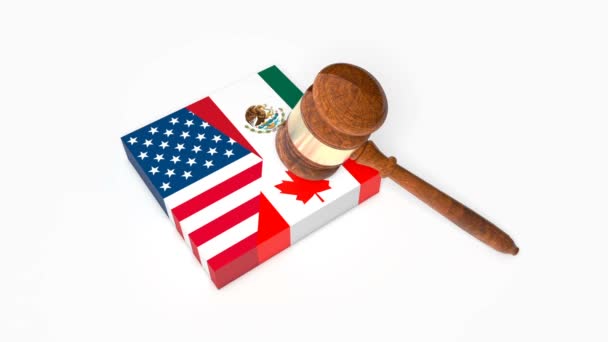 Plate Mexican Canadian Flags Being Crashed Gavel Judge Hammer Nafta — Stock Video