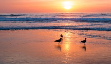 Sunset Beach Portekiz