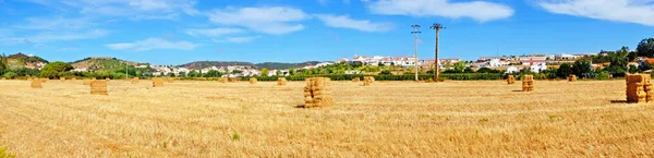 Panorama de fardos de heno en los campos cerca de Aljezur en Portugal —  Fotos de Stock