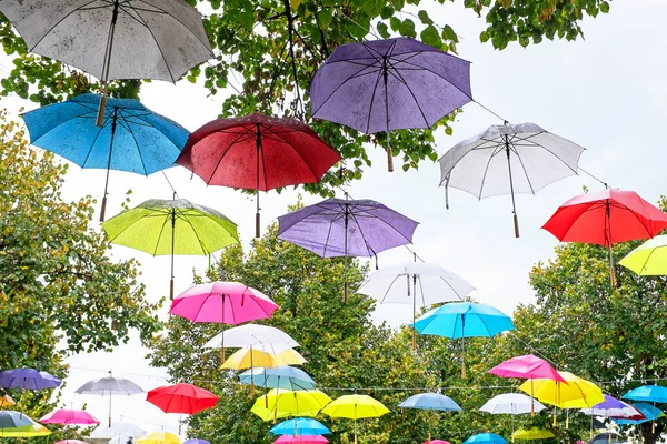 Umbrellas in fall in the trees in the Netherlands — Stock Photo, Image