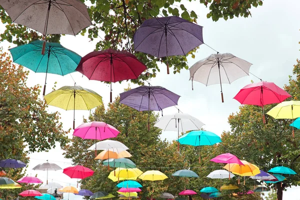 Umbrellas in autumn in the countryside from the Netherlands — Stock Photo, Image