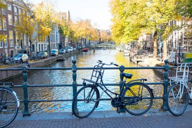 Şehir Manzaralı Amsterdam Hollanda Güz