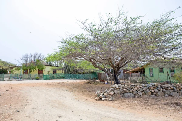 Traditional arubean houses in the cunucu on Aruba island in the — Stock Photo, Image