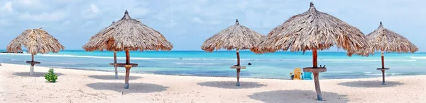 Panorama de sombrillas de hierba en la playa en la isla de Aruba Imagen — Foto de Stock