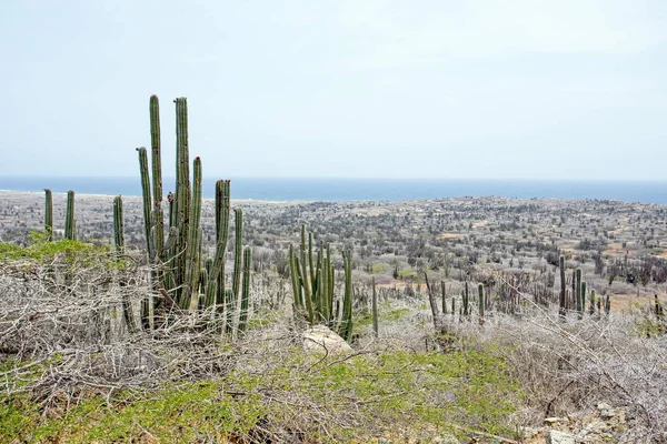 Vista del cunucu desde la isla de Aruba en el Mar Caribe — Foto de Stock