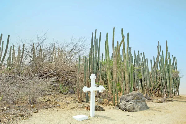 Λευκό σταυρό τα cunucu στο νησί της Αρούμπα στην Καραϊβική — Φωτογραφία Αρχείου