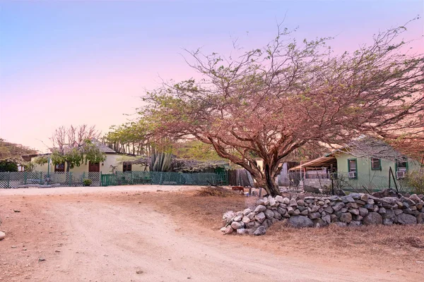Geleneksel arubean evler Aruba Adası'cunucu içinde — Stok fotoğraf