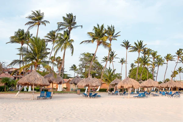 Palm trees, grass umbrellas and beach chairs on the beach at Aru — Stock Photo, Image