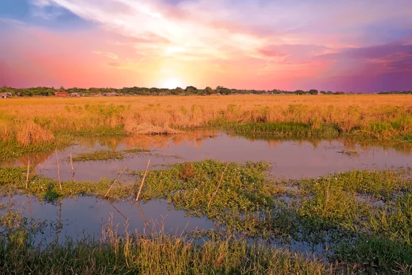 Hermosa puesta de sol en los campos de arroz cerca de Yangon en Myanmar — Foto de Stock