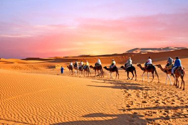 Gün batımında Fas Sahara çöl kumulları aracılığıyla deve karavan