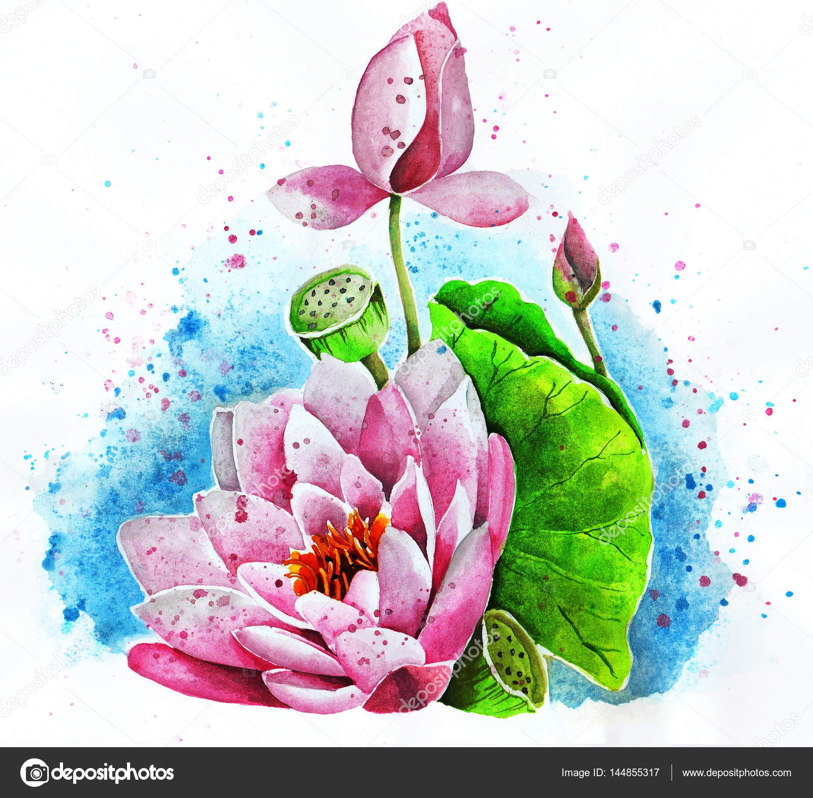 Lotus Flower Drawing Colour lupon.gov.ph