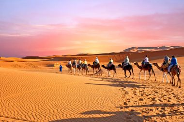Gün batımında Sahara çöl kumulları geçmekte deve karavan