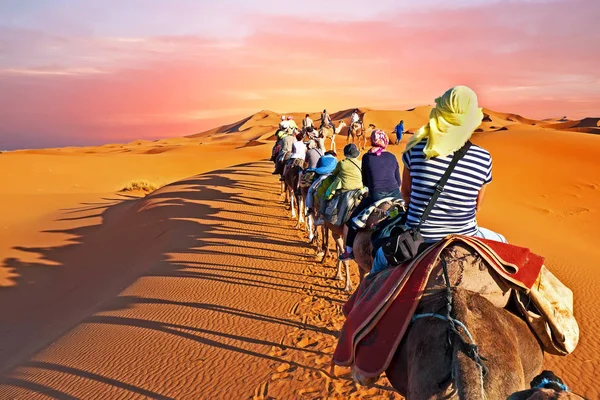 Karawana przechodzenia przez wydmy pustyni Sahara o zachodzie słońca — Zdjęcie stockowe