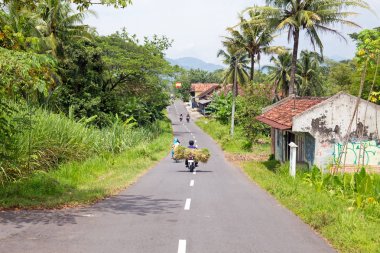 Kırsal kesimde Doğu java Endonezya sürüş