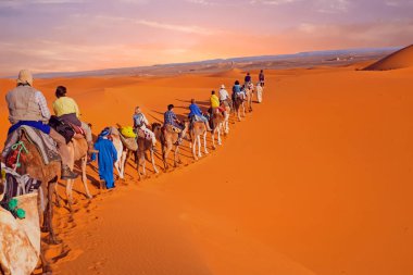 kameel caravan gaan door de duinen in de Saharawoestijn,