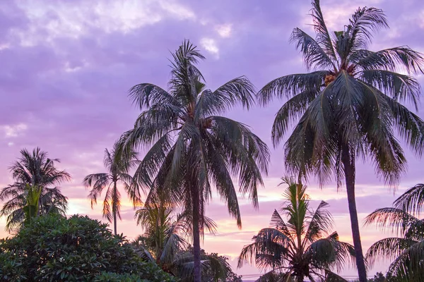 Fioletowy zachód słońca na wyspie Lombok Indonezja — Zdjęcie stockowe