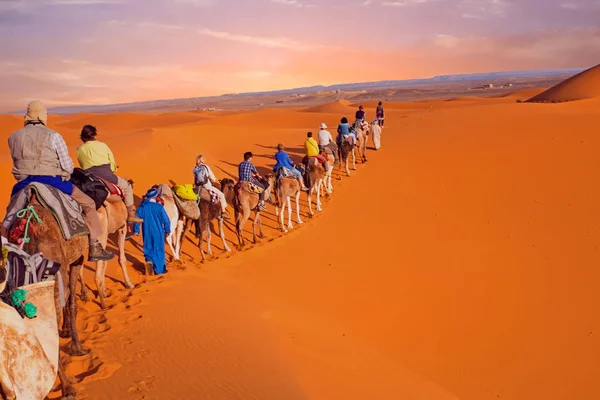 Velbloudí karavana prochází písečných dun v poušti sahara, — Stock fotografie