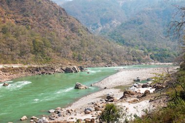 Kutsal nehir Ganj Laxman Jhula yakınındaki Hindistan'da 