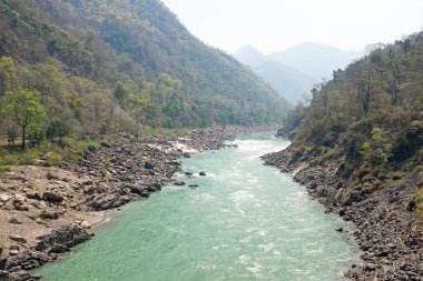 Bali Endonezya Asya'da pirinç tarlaları