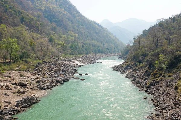 Bali Endonezya Asya'da pirinç tarlaları