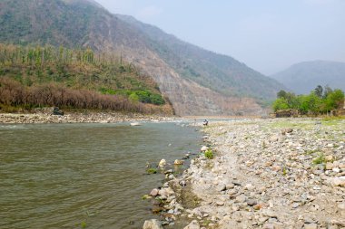 At Laxman Jhula Hindistan'da Ganj Nehri 