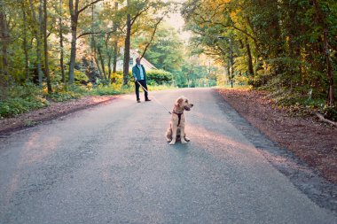 Hollanda'dan ormanın içinde Köpeğiyle yürüyen adam