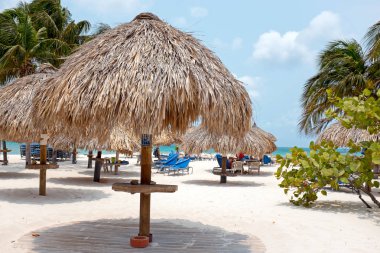 Plaj şemsiye ve plaj sandalyeleri Palm Beach Aruba Island üzerinde
