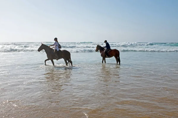 Passeios a cavalo na praia no oceano atlântico — Fotografia de Stock
