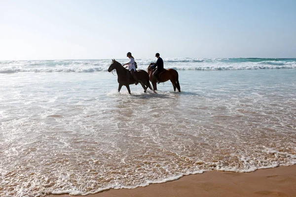 Passeios a cavalo na água do oceano atlântico — Fotografia de Stock
