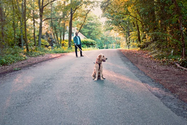 Hollanda'dan ormanın içinde Köpeğiyle yürüyen adam