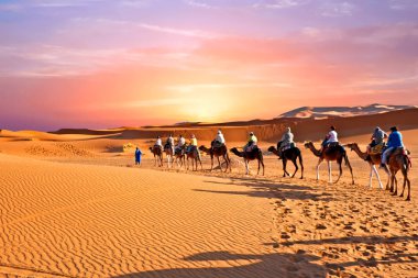 kameel caravan gaan door de duinen in de Saharawoestijn,