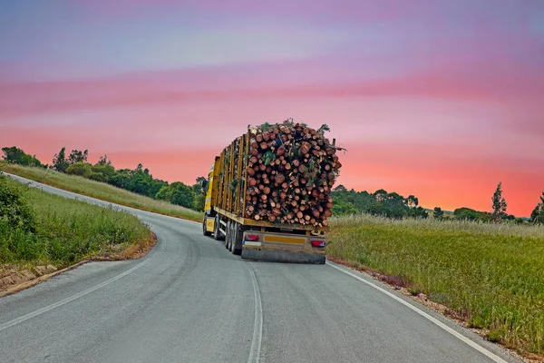 Truck with wood driving in the countryside from Portugal at suns