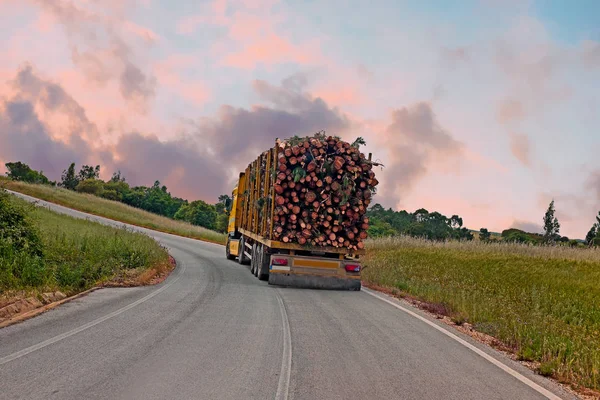 Truck with wood driving in the countryside from Portugal at suns — Stock Photo, Image