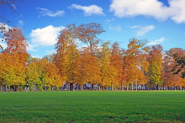 Herbst in den Niederlanden an einem schönen sonnigen Tag — Stockfoto