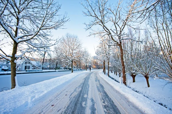 Снежная дорога в сельской местности из Нидерландов — стоковое фото