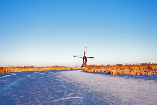 Moulin à vent traditionnel à la campagne des Pays-Bas en — Photo