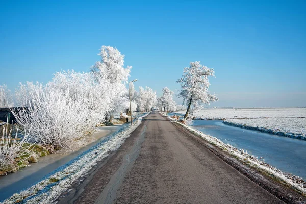 Snowy road in the countryside from the Netherlands in winter — Stock Photo, Image