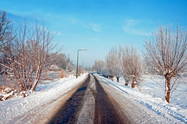 荷兰白雪皑皑的乡间小路 — 图库照片