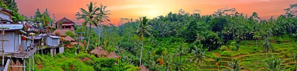Panorama aus einer landschaft auf bali indonesien mit reisfeldern und — Stockfoto