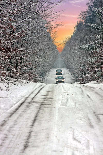 Camino nevado a través del bosque en el campo desde las Tinieblas — Foto de Stock