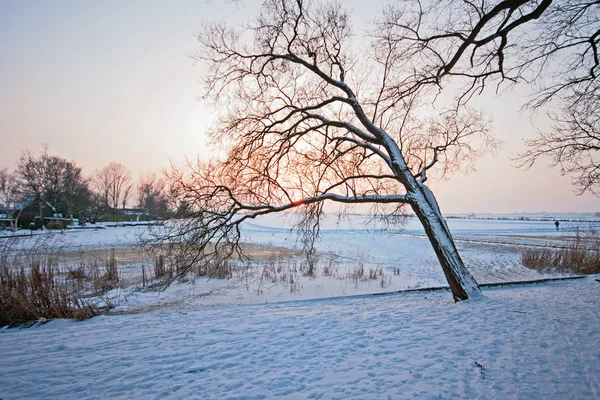 Снежный голландский пейзаж зимой в Нидерландах — стоковое фото