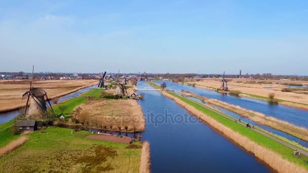 Hagyományos Szélmalmok Kinderdijk Hollandiában Légi — Stock videók