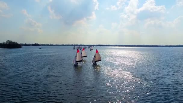 Aerial Sailing Loosdrechtse Plassen Countryside Netherlands — Stock Video