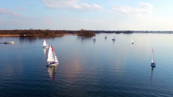 Aerial Sailing Loosdrechtse Plassen Countryside Netherlands — Stock Video