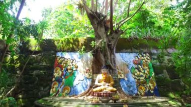 Buda Bali Endonezya Banyan ağacı altında