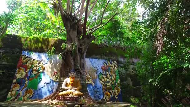 Buda Sob Árvore Banyan Bali Indonésia — Vídeo de Stock