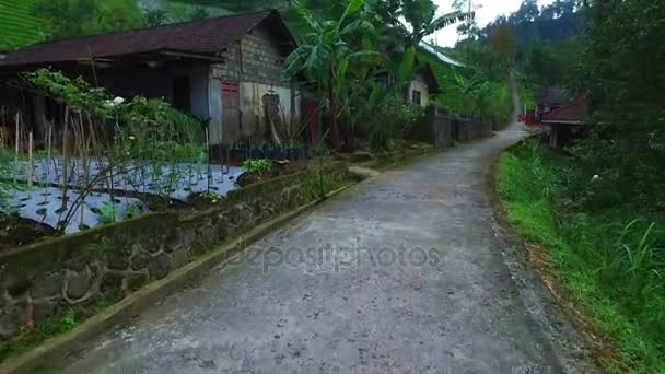 Деревня Яве Индонезия — стоковое видео