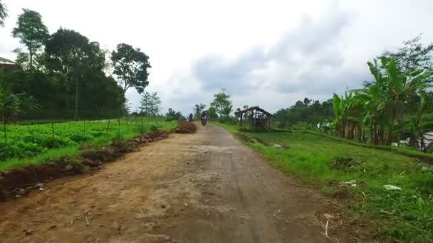 Countryside Java Indonesia — Stock Video