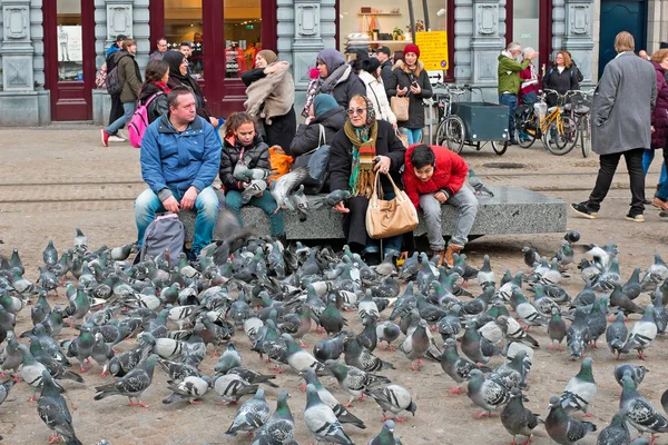 Amsterdam, Hollanda - January6, 2018: güvercinler Da besleme.