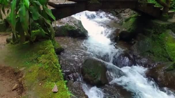 Водопад Яве — стоковое видео